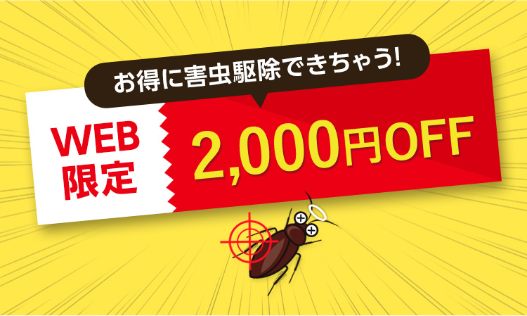 今だけWEB限定で2,000円OFF