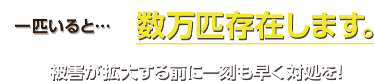 一匹いると数万匹存在します。