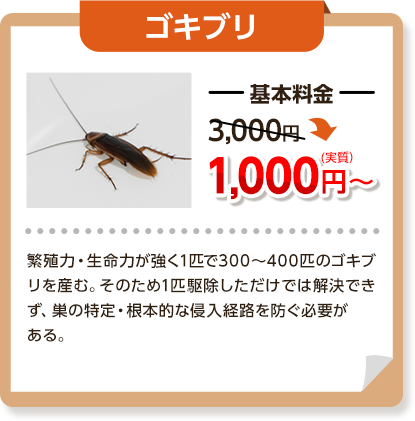 ゴキブリ基本料金3,000円～→1,000円繁殖力・生命力が強く1匹で300～400匹のゴキブリを産む。そのため１匹駆除しただけでは解決できず、巣の特定・根本的な侵入経路を塞ぐ必要がある。