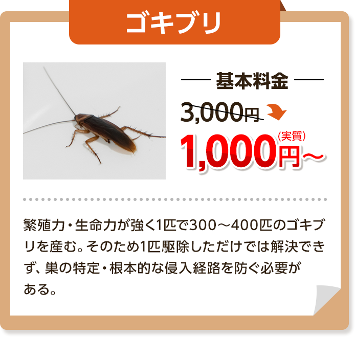 ゴキブリ基本料金3,000円～→1,000円繁殖力・生命力が強く1匹で300～400匹のゴキブリを産む。そのため１匹駆除しただけでは解決できず、巣の特定・根本的な侵入経路を塞ぐ必要がある。