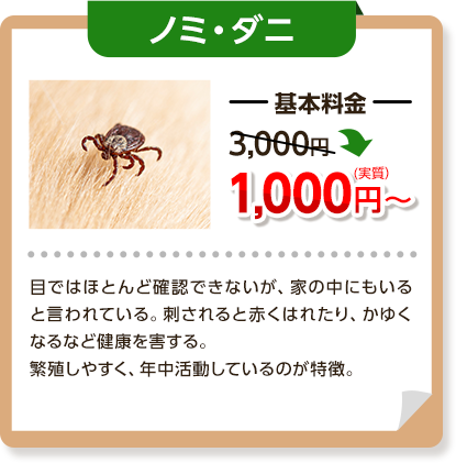 ノミ・ダニ：基本料金3,000円～→1,000円目ではほとんど確認できないが、家の中にでもいるといわれている。刺されると赤くはれたりかゆくなるなど、健康を害する。繫殖しやすく、年中活動しているのが特徴。