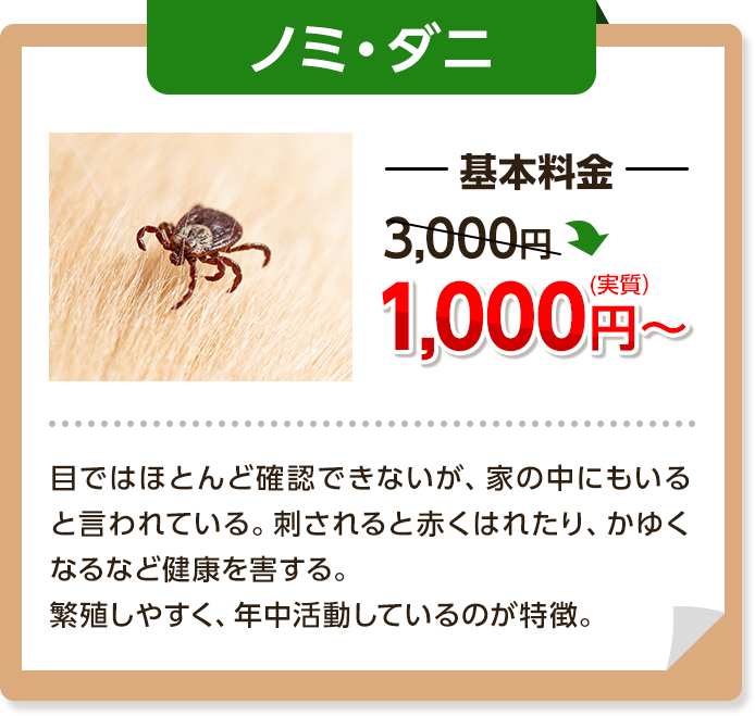 ノミ・ダニ：基本料金3,000円～→1,000円目ではほとんど確認できないが、家の中にでもいるといわれている。刺されると赤くはれたりかゆくなるなど、健康を害する。繫殖しやすく、年中活動しているのが特徴。