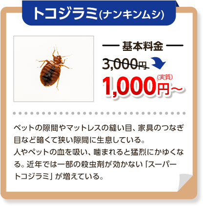 トコジラミ（ナンキンムシ）基本料金3,000円～→1,000円ベットの隙間やマットレスの縫い目、家具のつなぎ目など暗くて狭い隙間に生息している。人やペットの血を吸い、噛まれると猛烈にかゆくなる。近年では一部の殺虫剤が効かない「スーパートコジラミ」が増えている。