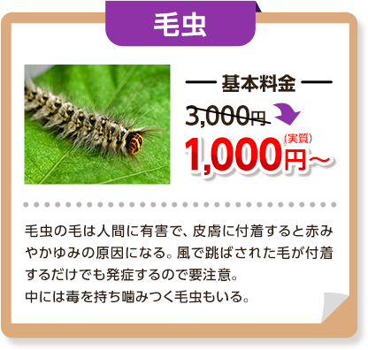 毛虫：基本料金3,000円～→1,000円円毛虫の毛は人間に有害で、皮膚に付着すると赤身かゆみの原因になる。風で飛ばされたけが付着するだけでも発症するので要注意。中には毒を持って噛みつく毛虫もいる。