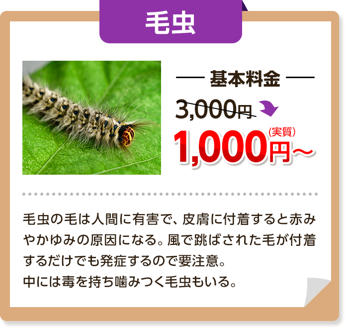 毛虫：基本料金3,000円～→1,000円円毛虫の毛は人間に有害で、皮膚に付着すると赤身かゆみの原因になる。風で飛ばされたけが付着するだけでも発症するので要注意。中には毒を持って噛みつく毛虫もいる。