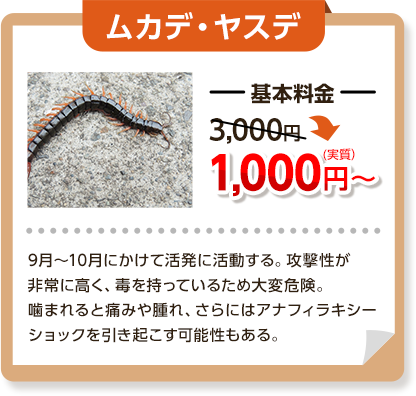 ムカデ・ヤスデ：基本料金3,000円～→1,000円９月～１０月にかけて活発に活動する。攻撃性が非常に高く、毒を持っているため大変危険。噛まれると痛みや腫れ、さらにはアナフィラキシーショックを引き起こす可能性もある。