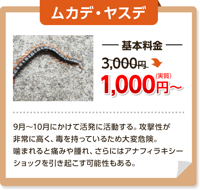 ムカデ・ヤスデ：基本料金3,000円～→1,000円９月～１０月にかけて活発に活動する。攻撃性が非常に高く、毒を持っているため大変危険。噛まれると痛みや腫れ、さらにはアナフィラキシーショックを引き起こす可能性もある。