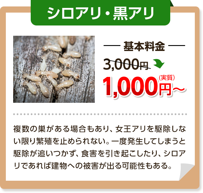 シロアリ・黒アリ基本料金3,000円～→1,000円複数の巣がある場合もあり、女王ありを駆除しない限り繁殖を止められない。一度発生してしまうと駆除が追いつかず、食害を引き起こしたり、シロアリであれば建物への被害が出る可能性もある。