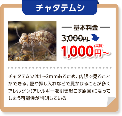 チャタテムシ：基本料金は同じく3000円→1,000円～チャタテムシは1~2㎜あるため、肉眼で見ることができる。畳や押し入れなどで見かけることが多く、アレルゲン(アレルギーを引き起こす原因)になってしまう可能性が判明している。