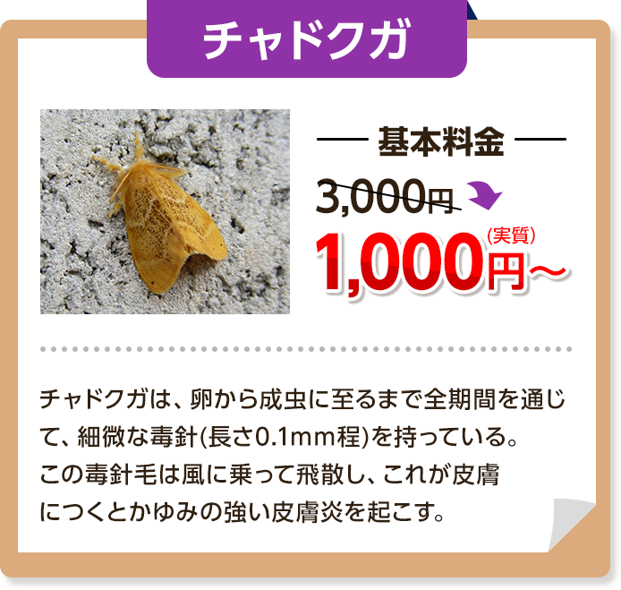 チャドクガ：基本料金は同じく3000円→1,000円～チャドクガは、卵から成虫に至るまで全期間を通じて、微細な毒針（長さ0.1ミリメートル程）を持っている。この毒針毛は風に乗って飛散し、これが皮膚につくとかゆみの強い皮膚炎を起こす。