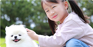 子どもと犬の写真