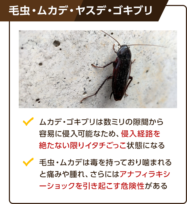 毛虫、ムカデ、ヤスデ、ゴキブリ。①ムカデ・ゴキブリは数ミリの隙間から容易に侵入可能なため、侵入経路を絶たない限りイタチごっこ状態になる。②毛虫、ムカデは毒を持っており噛まれると腫れ痛み、さらにはアナフィラキシーショックを引き起こす危険性がある。