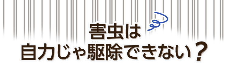 害虫は自力じゃ駆除できない？