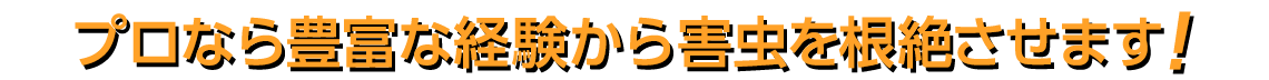 プロなら豊富な経験から害虫を根絶させます！