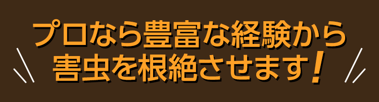 プロなら豊富な経験から害虫を根絶させます！