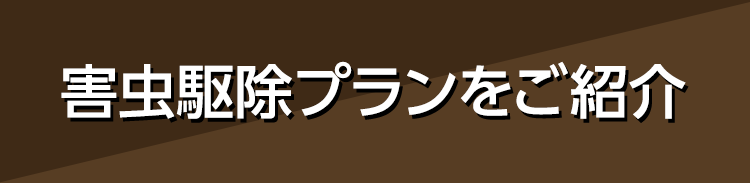 害虫駆除プランをご紹介